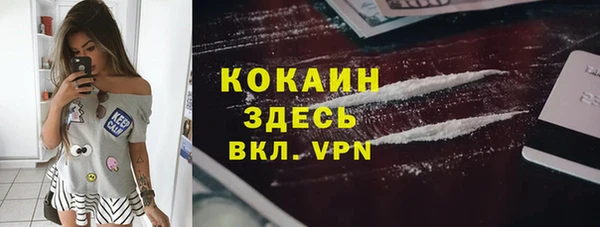 дурь Пересвет