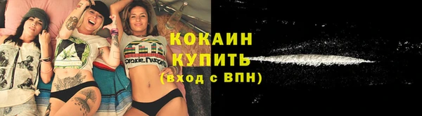 дурь Пересвет