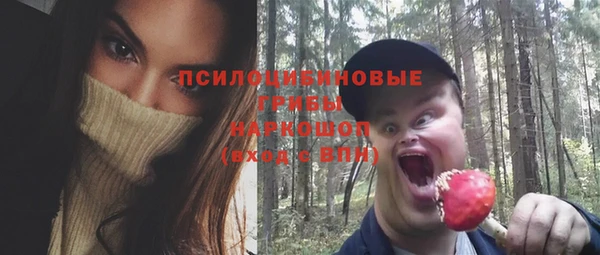 дурь Пересвет