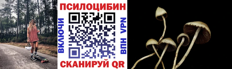 Псилоцибиновые грибы мухоморы закладка Северская